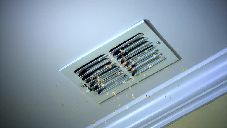 Best Affordable HVAC Duct Cleaning  in Union Springs, NY